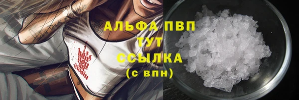 спайс Баксан
