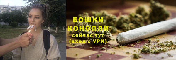 спайс Баксан