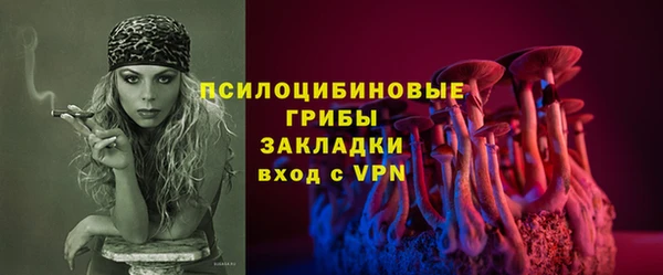 спайс Баксан