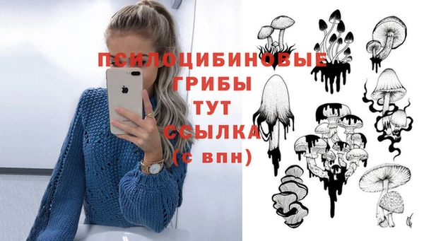 трава Балахна