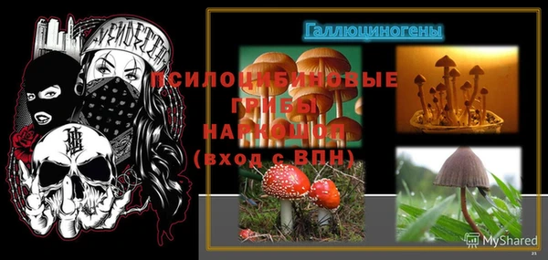 спайс Баксан