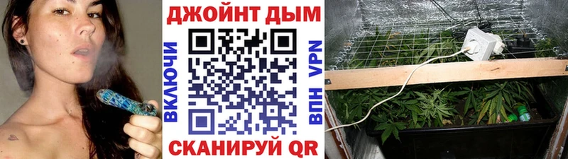 блэк спрут зеркало Городовиковск Канабис план